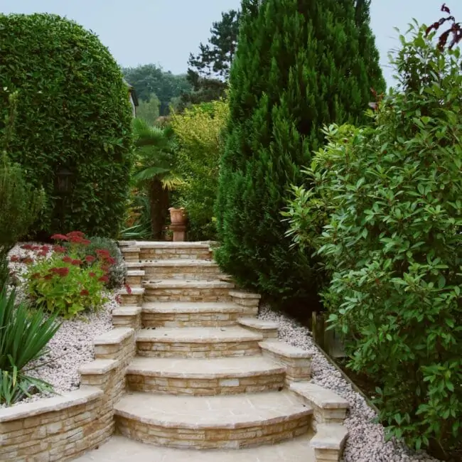 Treppe durch Garten und Bäume