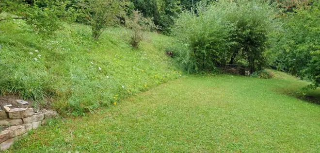 Grüner Garten